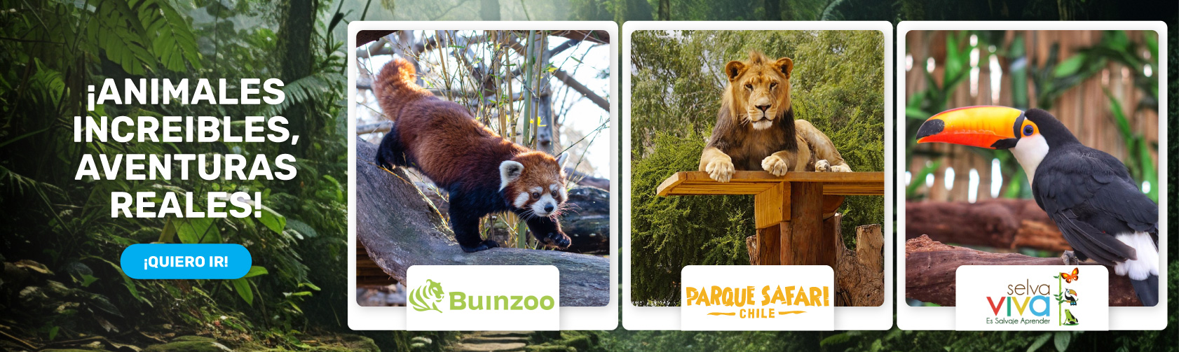 Animales 2